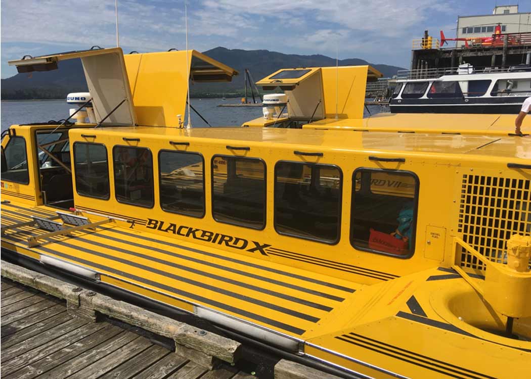 Hovercraft Eco Wildlife Adventure Tour | Ketchikan Shore Tours