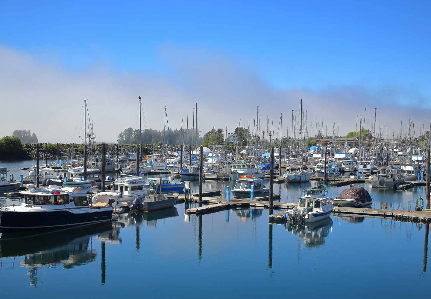 Sitka's small boat harbor is located just next to downtown. Take a look at the fishing boats and small ships, just a short walk from the shuttle stop.