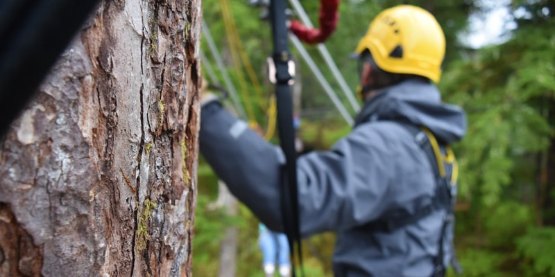 You’ll want to be sure to have an easily portable lens on the zipline tours!