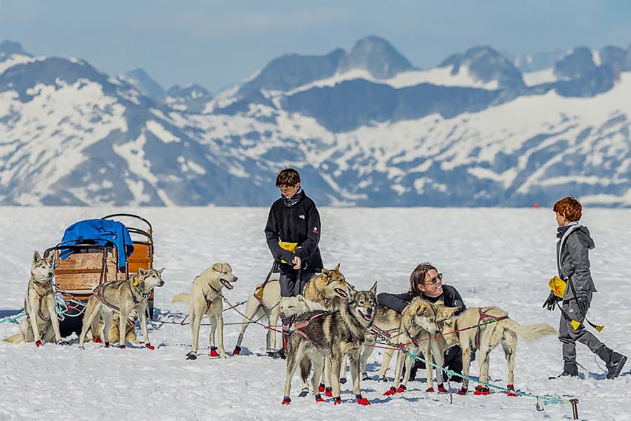 Dog Sledding tour category image