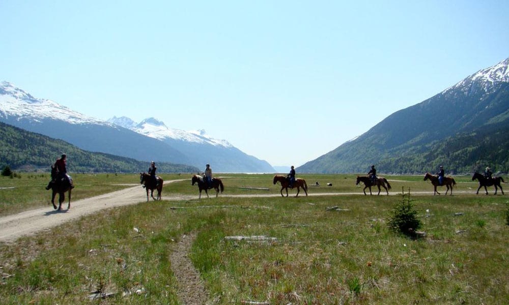 Chilkoot Horseback Adventure image