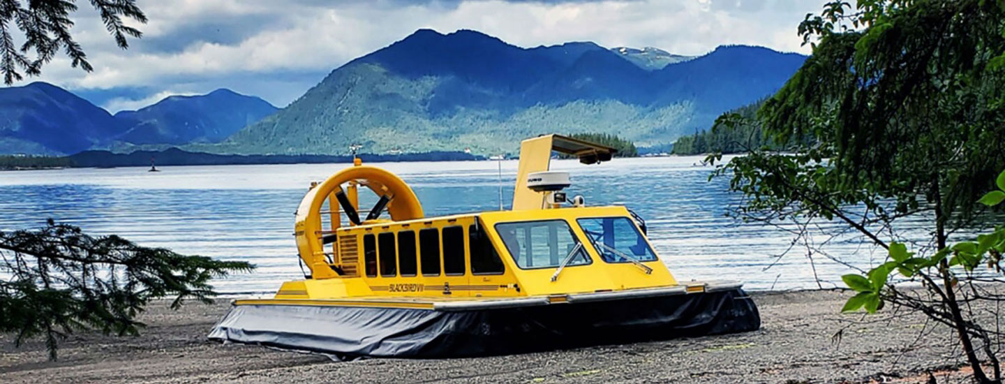 Hovercraft Eco Adventure and Wildlife Viewing Tour image