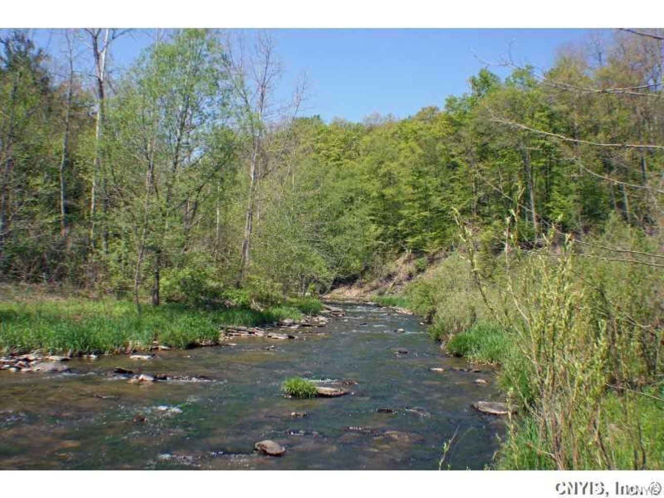 Canaseraga State Forest Explore Genesee Valley