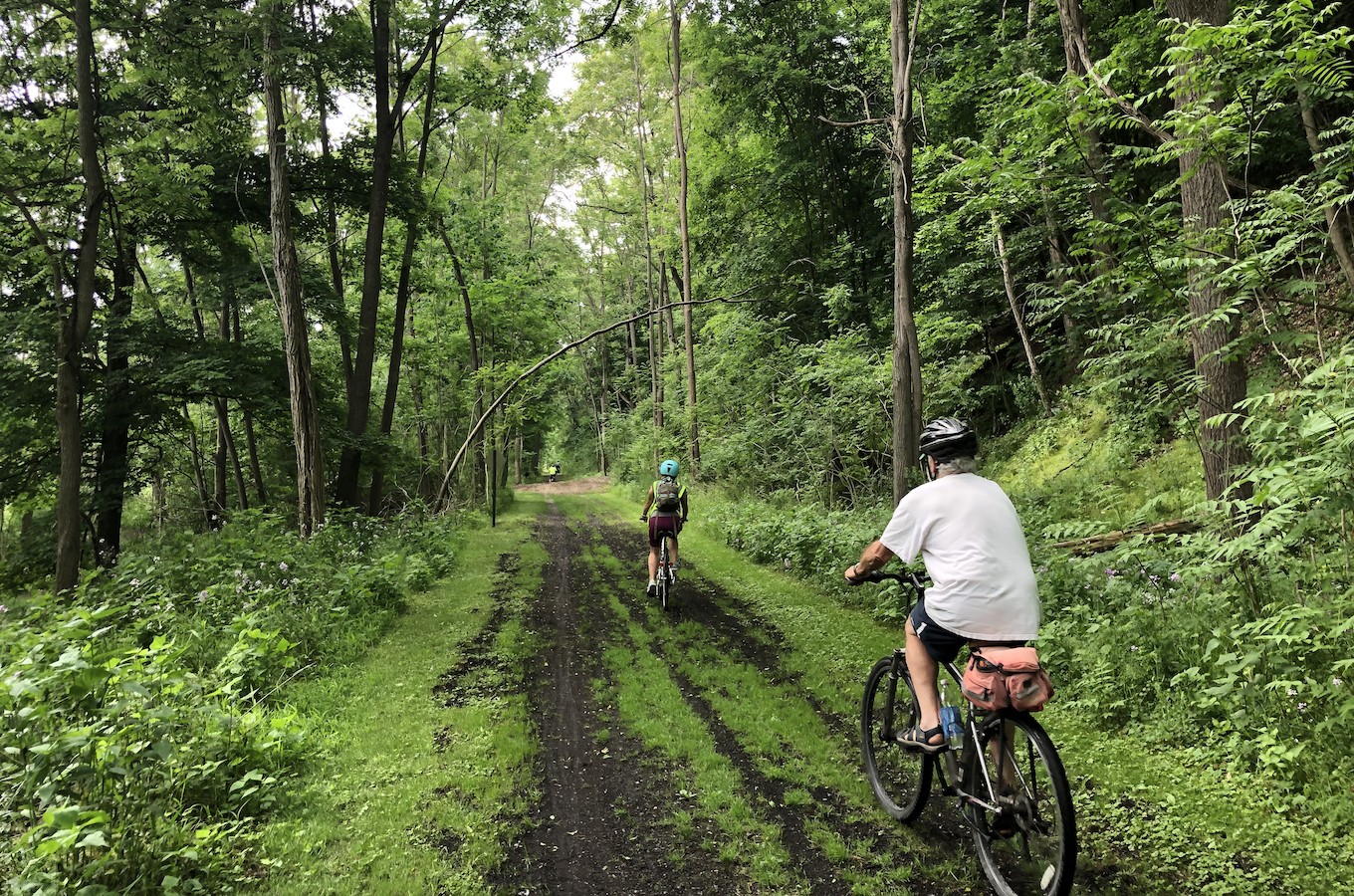 Pedal Your Way Through History: Exploring the Genesee Valley Greenway