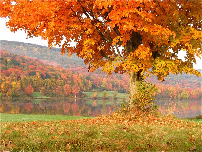 8 Breathtaking Spots for Fall Leaf Peeping | Explore Genesee Valley