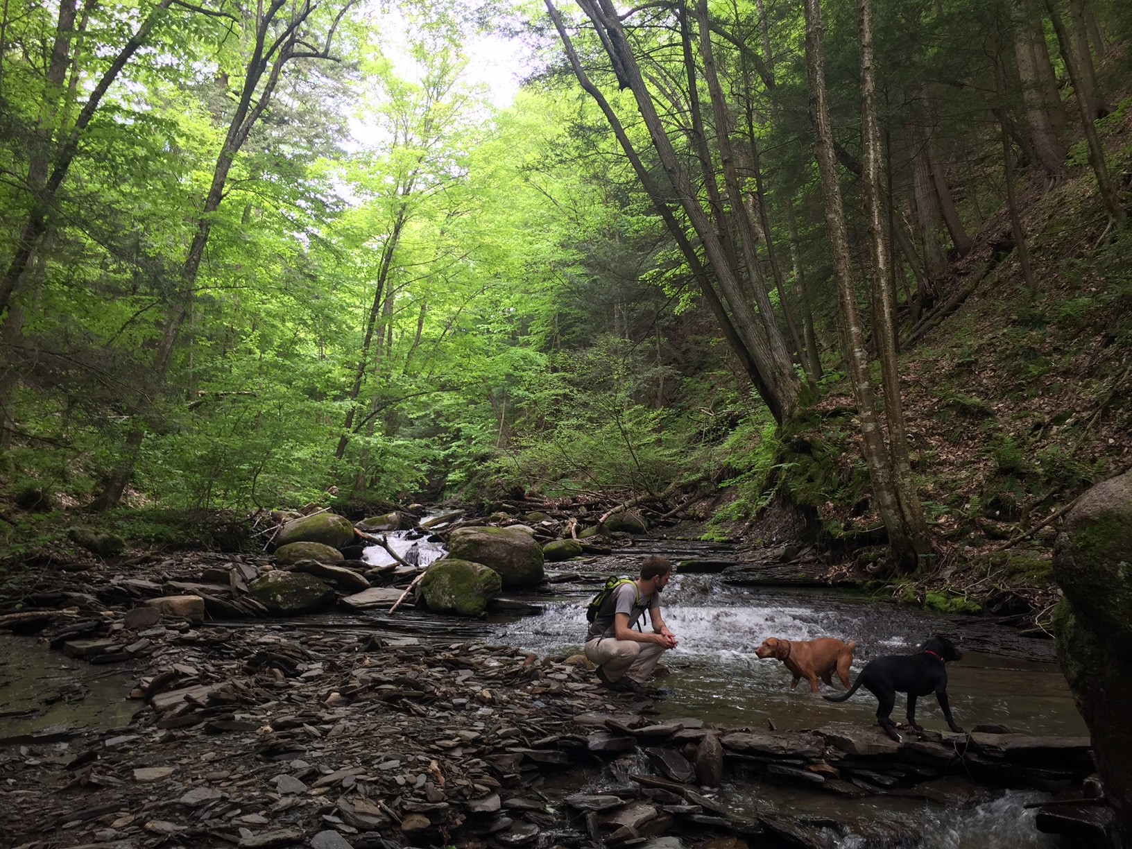 Wesley Hill Nature Preserve Explore Genesee Valley