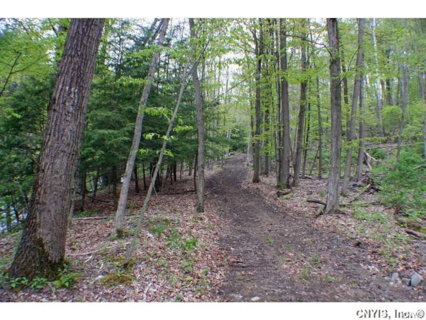 Canaseraga State Forest Explore Genesee Valley