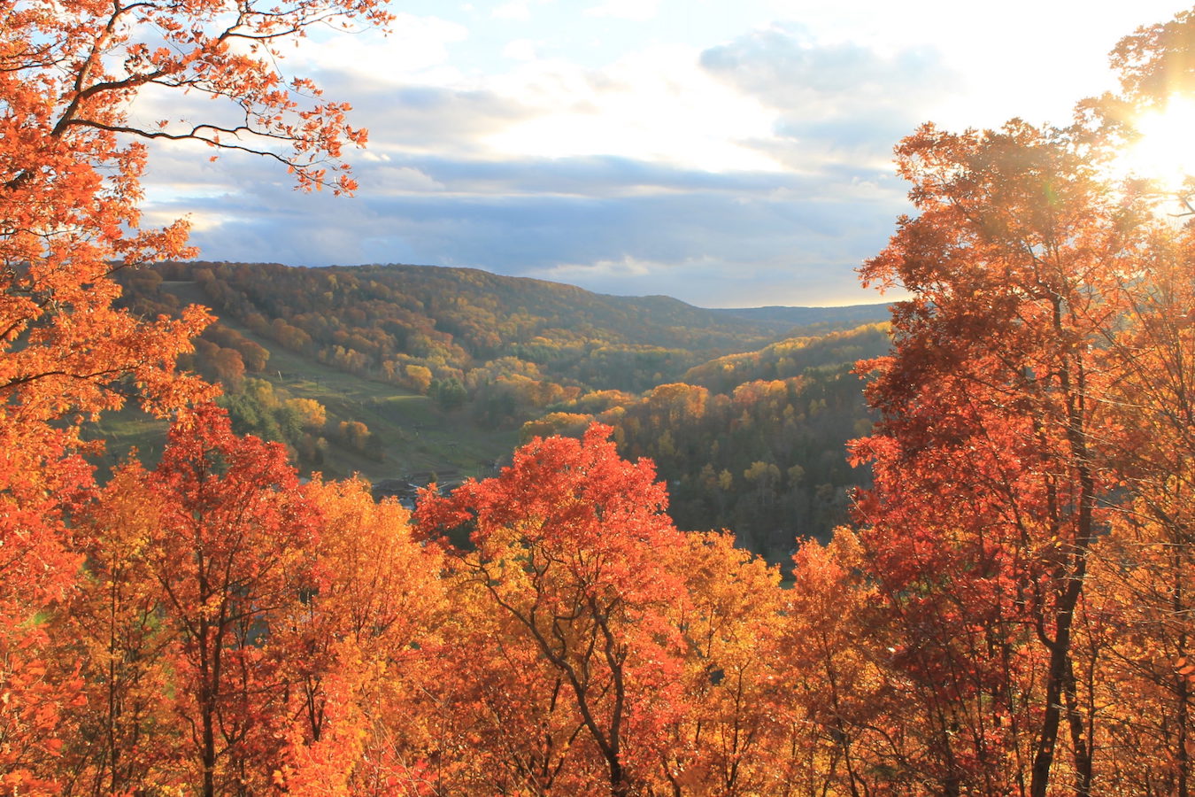 A Colorful Foliage Drive Through Resilient Hardwood Forests | Explore ...