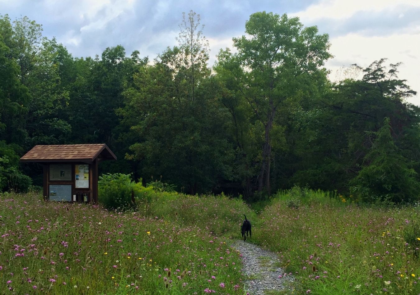 houston-trail-indian-fort-nature-preserve-explore-genesee-valley