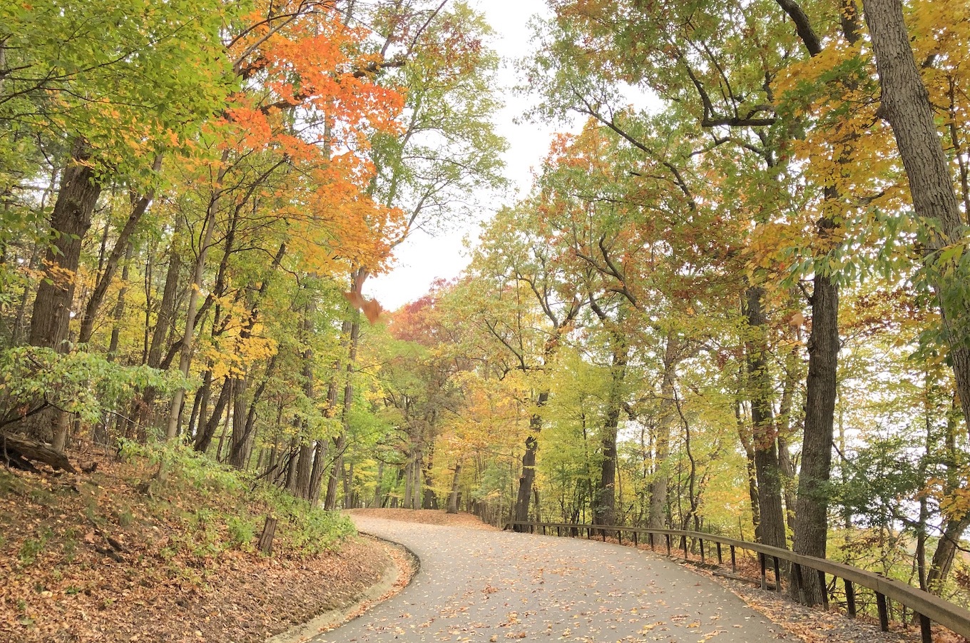Al Lorenz ParkFinger Lakes Trail Loop Explore Genesee Valley