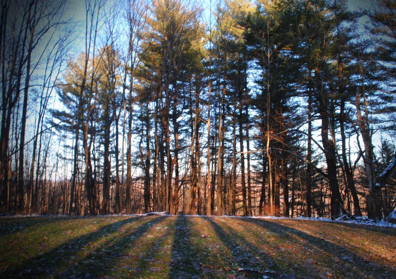 What to do, see, and eat this semester at Houghton University