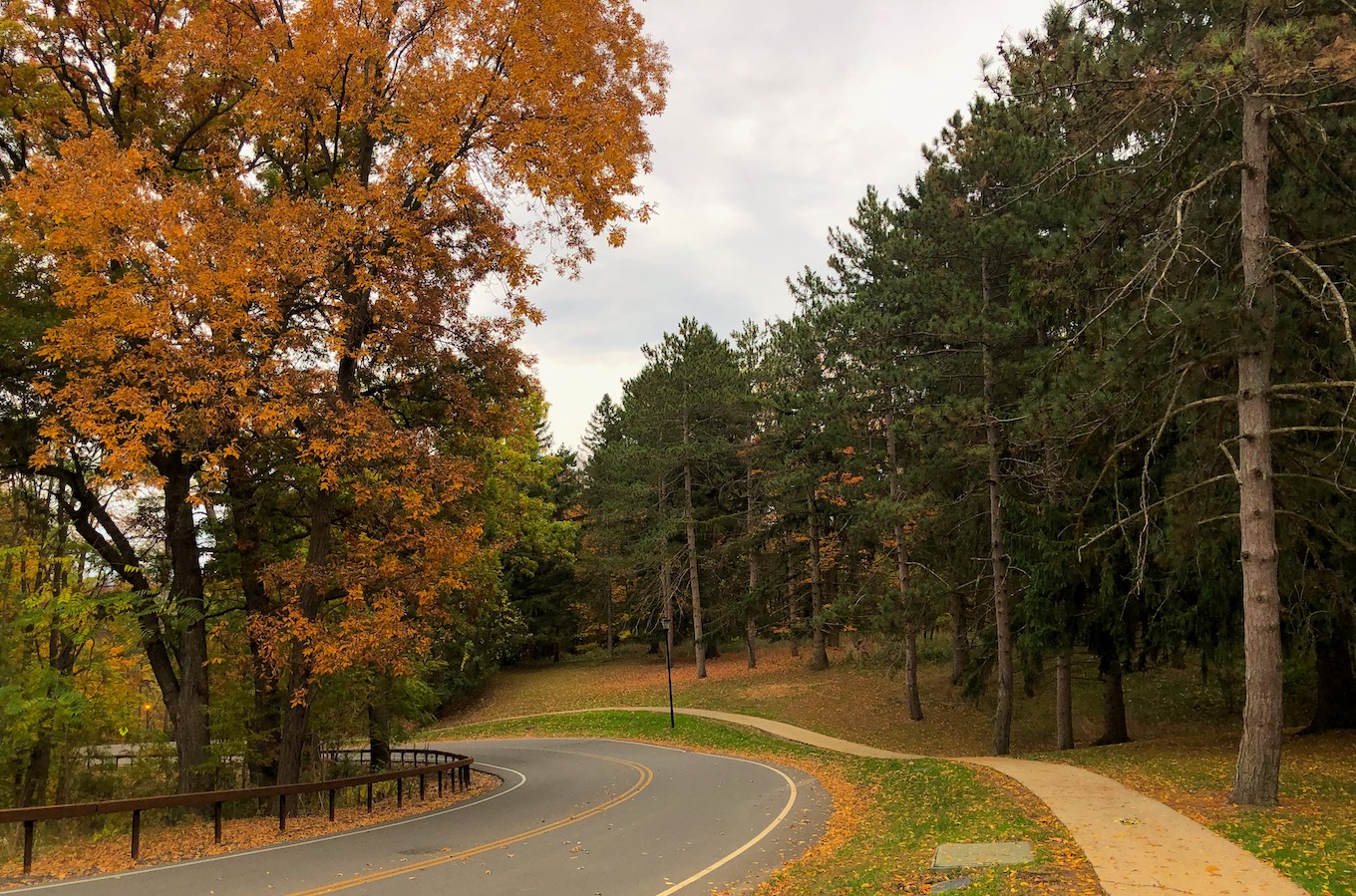 Al Lorenz Park-Finger Lakes Trail Loop | Explore Genesee Valley