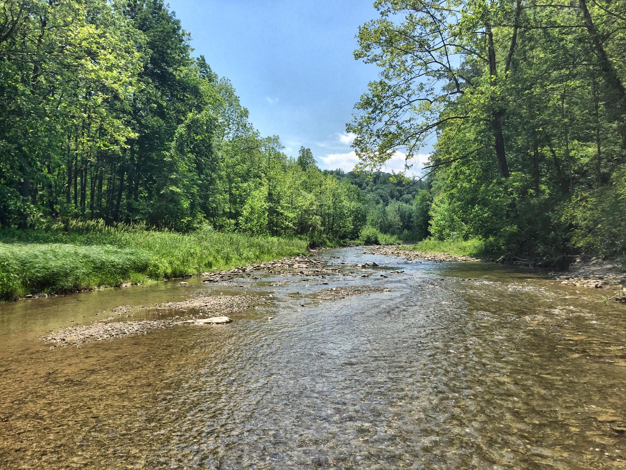 Sonyea State Forest | Explore Genesee Valley