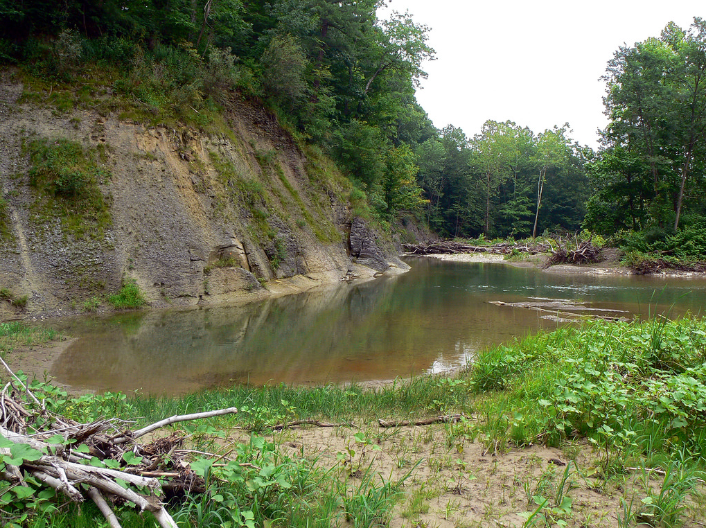 Sonyea State Forest | Explore Genesee Valley