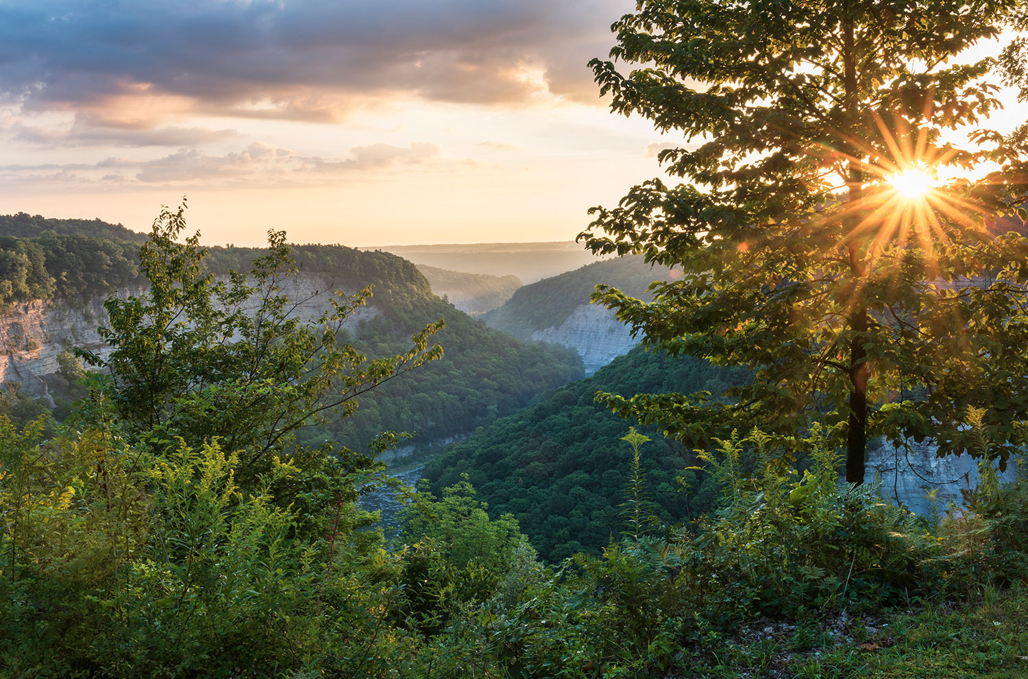 Genesee Valley Trail Guide | Explore Genesee Valley