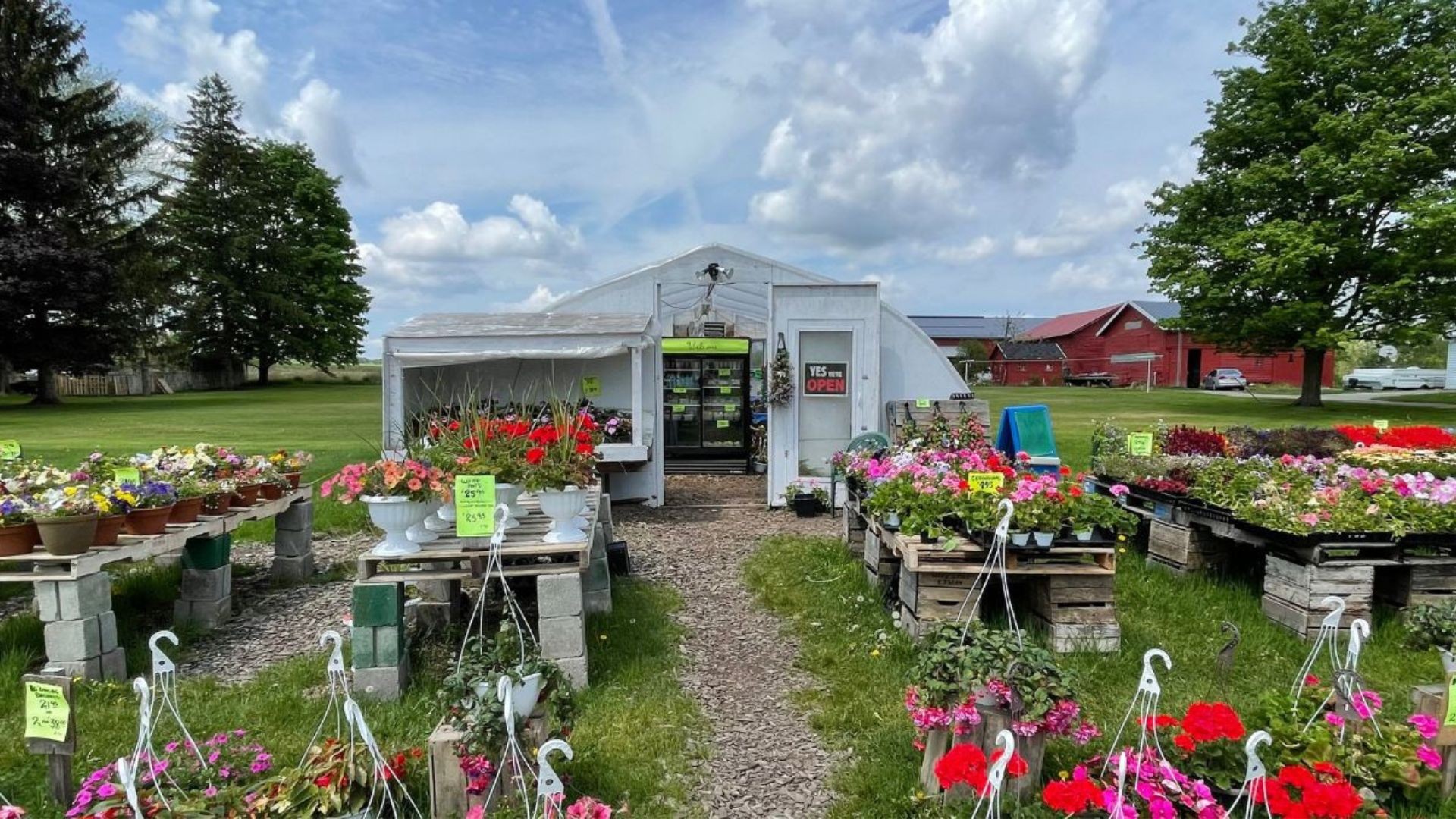 Seasonal Summer Businesses Explore Genesee Valley