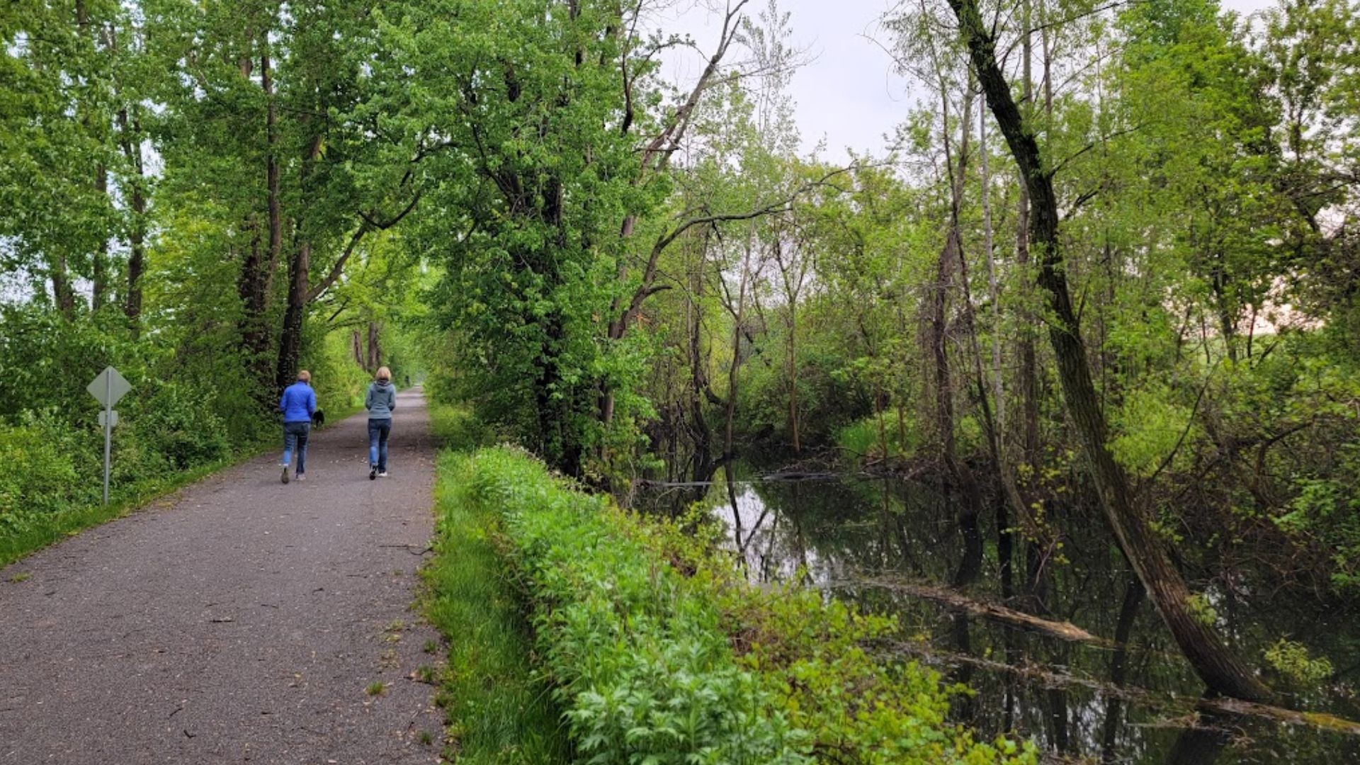 Pedal Your Way Through History: Exploring the Genesee Valley Greenway