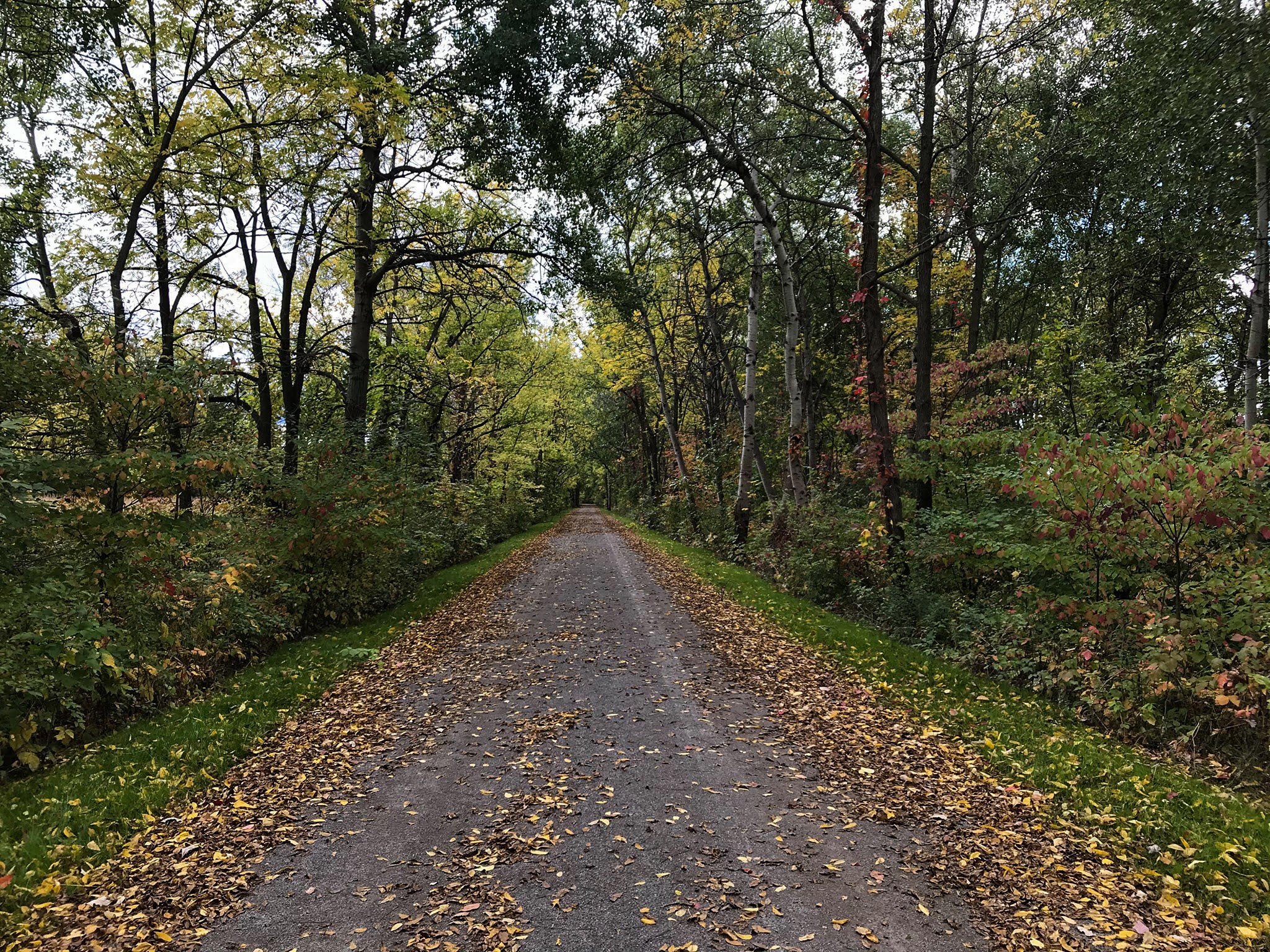 Pedal Your Way Through History: Exploring The Genesee Valley Greenway