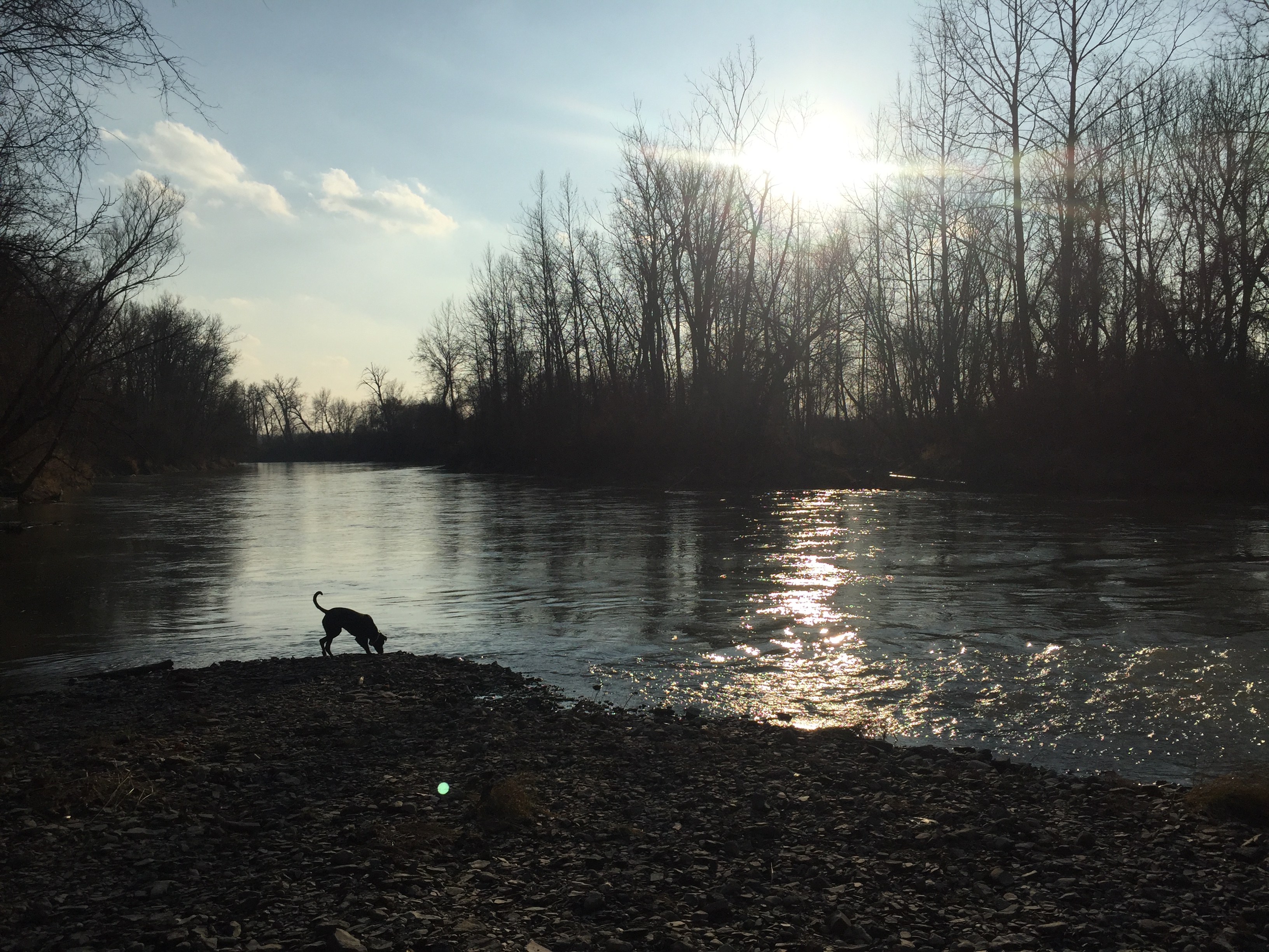 Indian Fort Nature Preserve Explore Genesee Valley