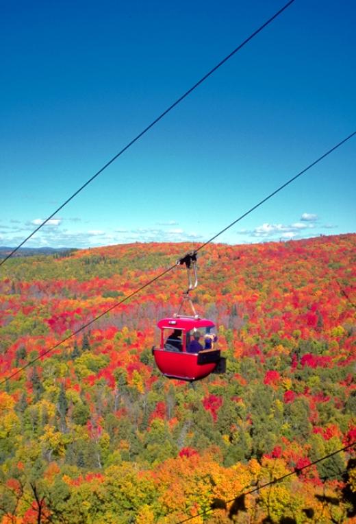Lutsen Mountain Tram and Alpine Slide | Heart of the Continent