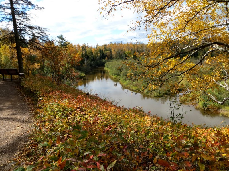 Featured image of post Recipe of Gooseberry Falls Autumn