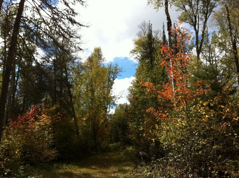 Taconite State Trail Heart of the Continent