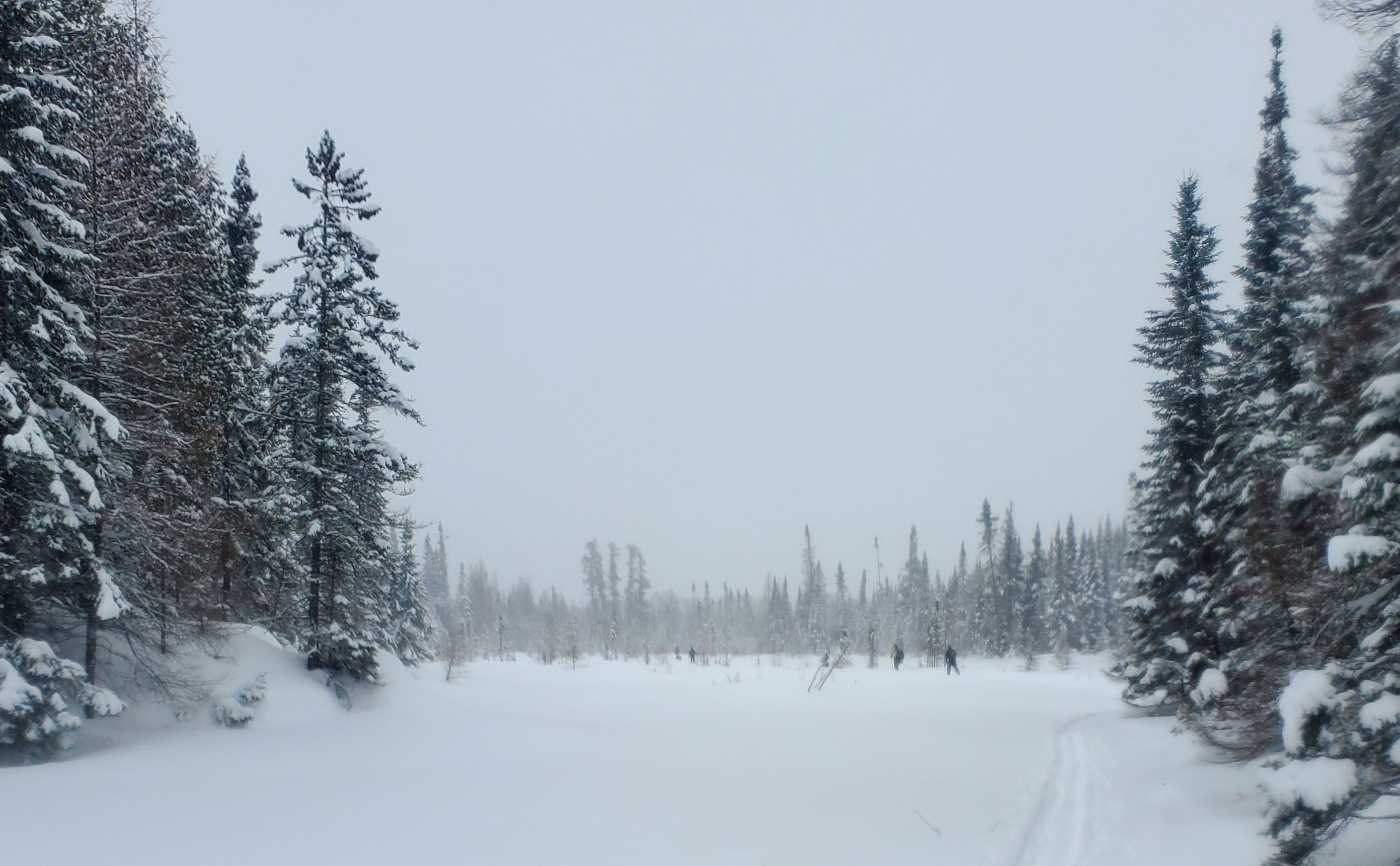 Sawmill Lake Classic Tour Quetico Provincial Park Heart of the Continent