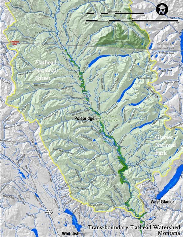 Transboundary Flathead Valley Where The Wild Things Are 2 0 Crown   0778b763 0138 4e55 89de C89b4fe96e1f Cot5f32da164b7ebba58 