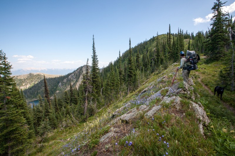 Doris Ridge Trail 52 Hungry Horse, Montana Crown of the Continent
