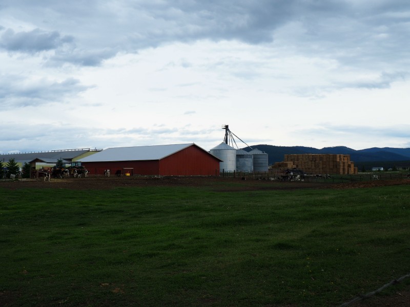 Kalispell Kreamery Farm Tour Kalispell, Montana Crown of the