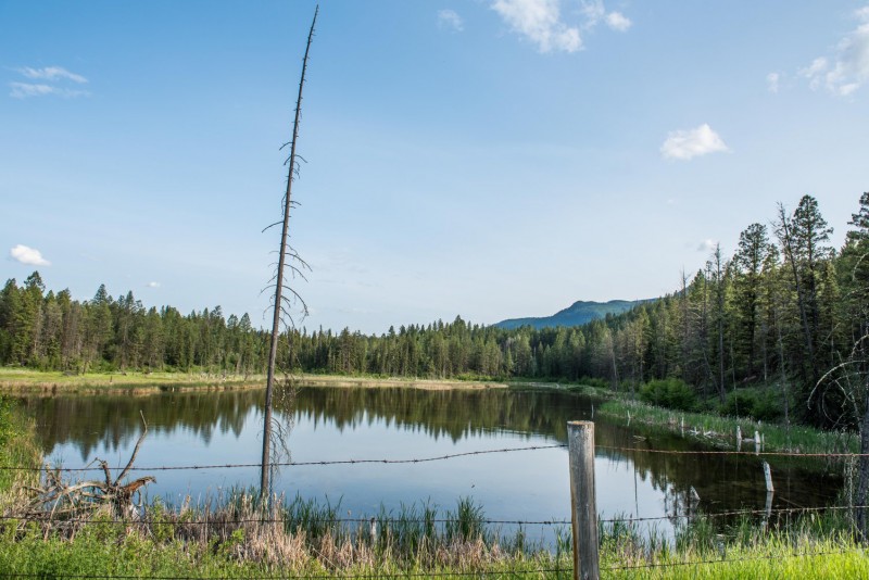 Markin-MacPhail Westside Legacy Trail | Invermere to Fairmont Hot