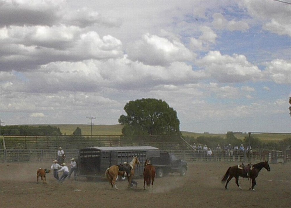 Choteau Ranch Rodeo Choteau, Montana Crown of the Continent Geotourism