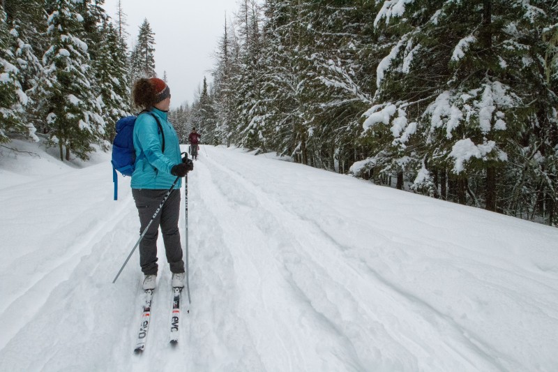 Explore Glacier National Park on Snowshoes & Nordic Skis Glacier