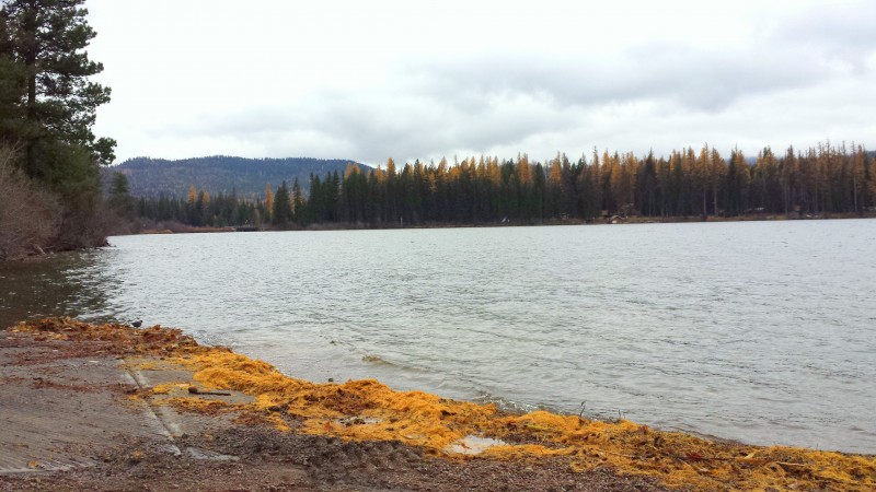 Placid Lake State Park Seeley Lake, Montana Crown of the Continent Geotourism