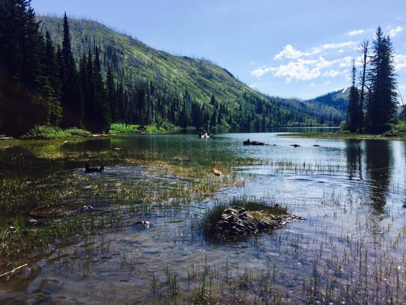 Clayton Creek Trail #420 | Hungry Horse, Montana | Crown of the ...