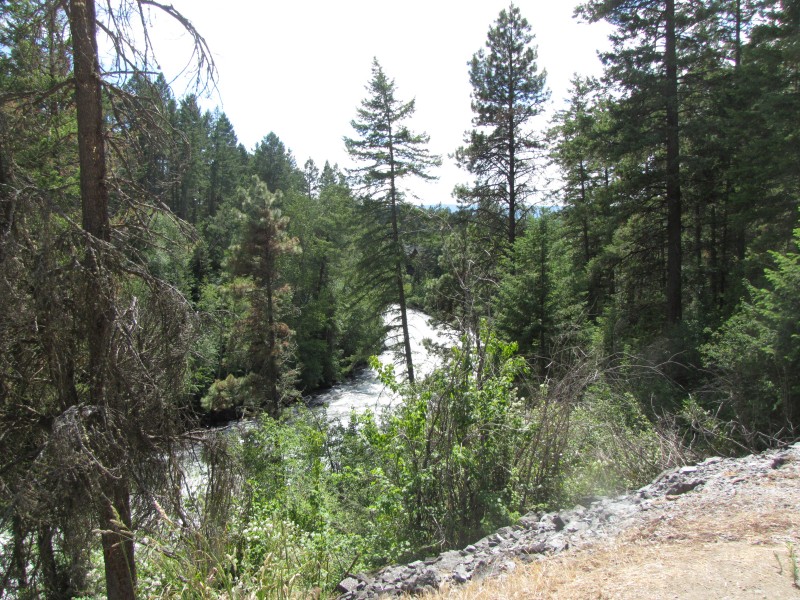 Naturalist Hike Along the Bigfork Nature Trails (formerly Swan River