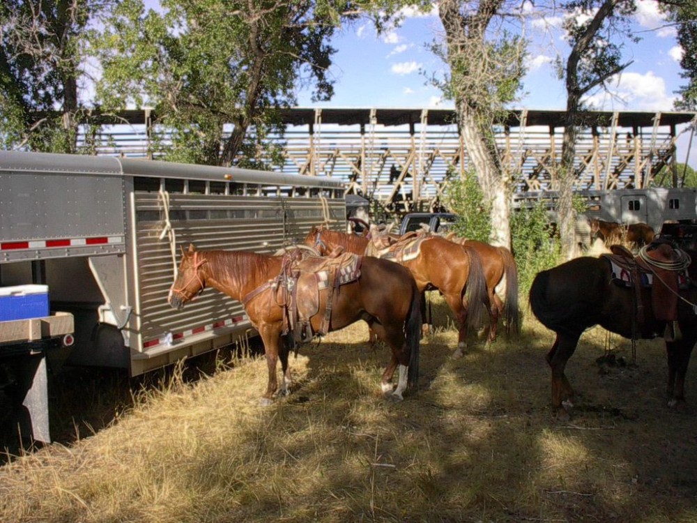Choteau Ranch Rodeo Choteau, Montana Crown of the Continent Geotourism