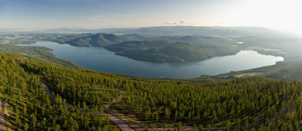 Whitefish на волге