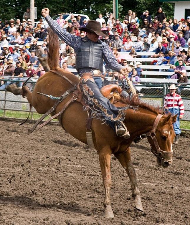 Professional Rodeos | Crown of the Continent Geotourism