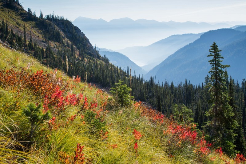 Jewel Basin Hiking Area  Montana  Crown of the Continent Geotourism