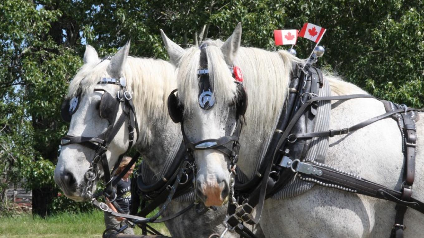 Canada Day Fete Du Canada Bar U Ranch National Historic Site Longview Alberta Crown Of The Continent Geotourism Travel Planning Guide