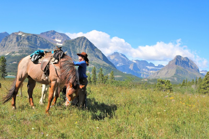 Take a Guided Horseback Ride Glacier National Park 