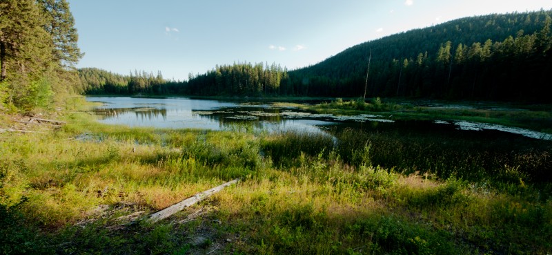 The Whitefish Trail Beaver Lakes Area Trailheads Whitefish, Montana