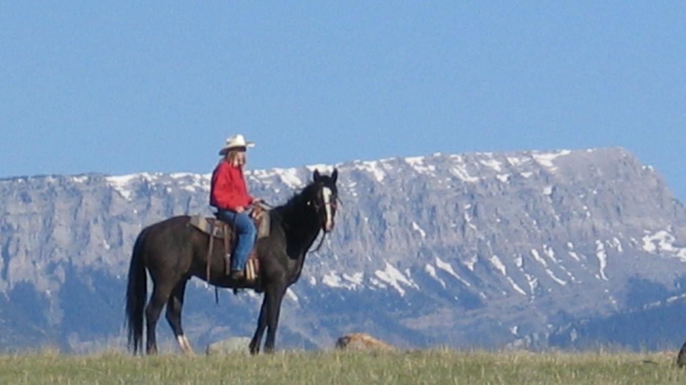 Sun River Wildlife Management Area/Game Range Augusta, Montana