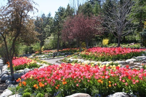 Bibler Home and Garden Tours | Kalispell, Montana | Crown of the ...