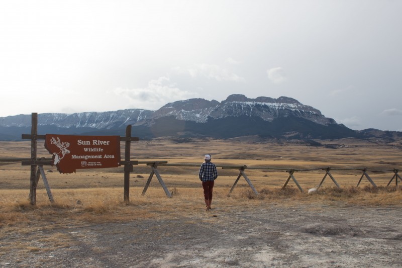 Sun River Wildlife Management Area/Game Range Augusta, Montana