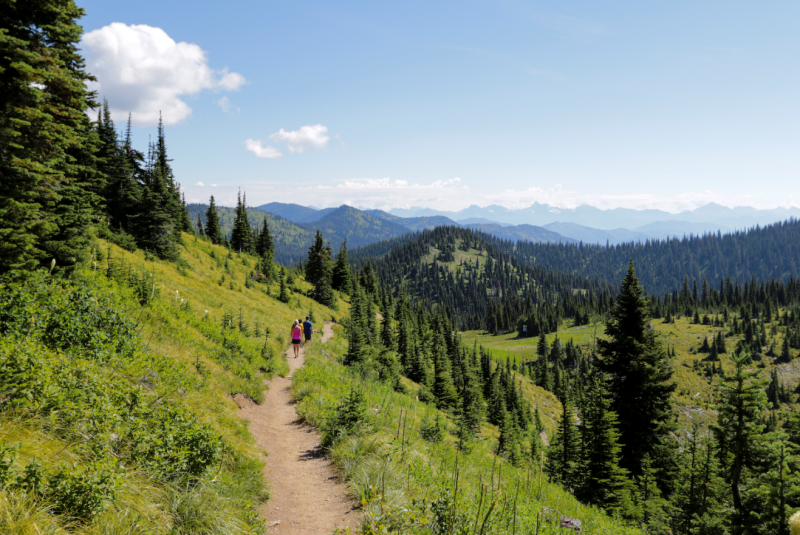 Danny On Memorial Hiking Trail | Whitefish, Montana | Crown of the