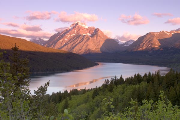 Looking Glass Road (Hwy 49): Grand Vistas, Wildlife & Flowers