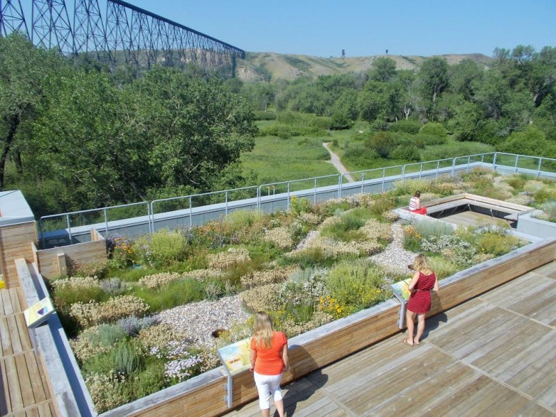 Helen Schuler Nature Centre Lethbridge, Alberta Crown of the