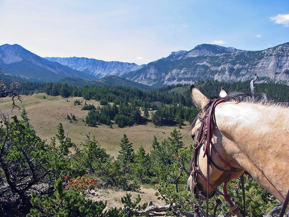JJJ Wilderness Ranch Augusta, Montana Crown of the Continent Geotourism